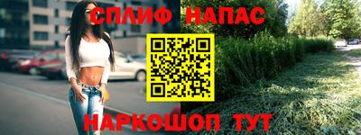 прущие грибы Волжск