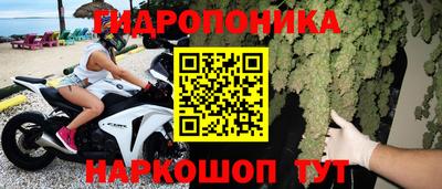 прущие грибы Волжск