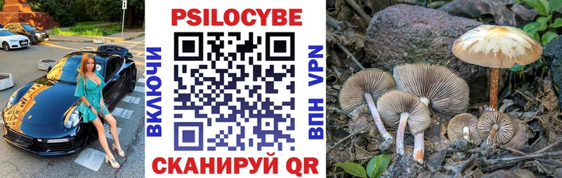 Псилоцибиновые грибы Cubensis  купить  сайты  Минеральные Воды 
