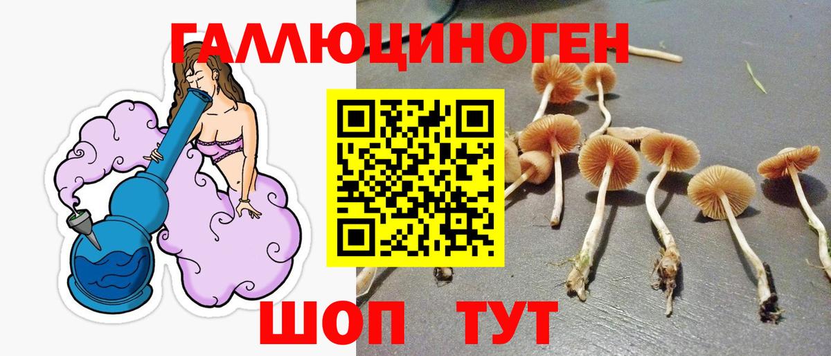 Псилоцибиновые грибы MAGIC MUSHROOMS Минеральные Воды