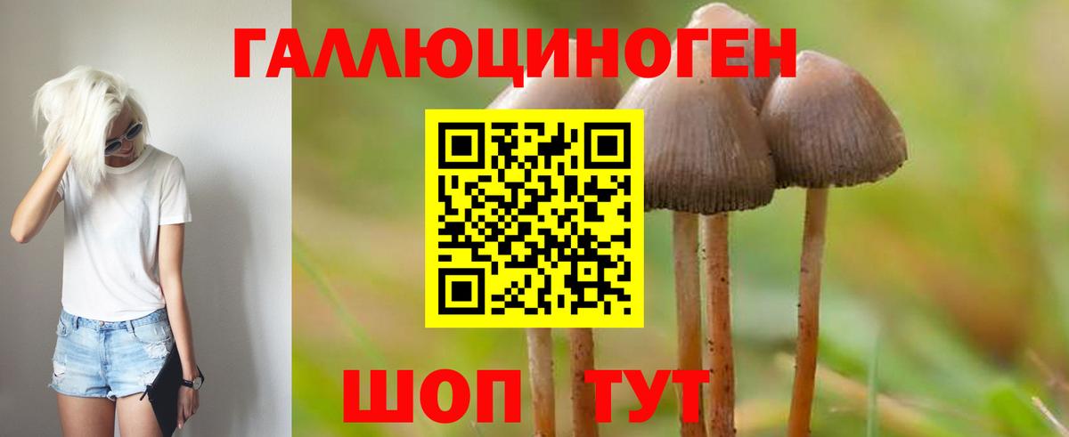 Галлюциногенные грибы Cubensis  Псилоцибиновые грибы MAGIC MUSHROOMS  Минеральные Воды  купить   Вход с VPN 
